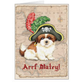Carte Shih Tzu Pirate (Devant)