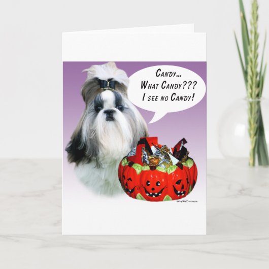 Carte Shih Tzu (préparé) Halloween Candy (Devant)