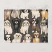 Carte Shih Tzu Serenity (Devant)