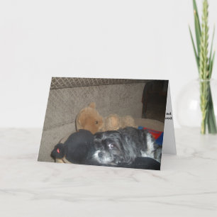 Carte Shih Tzu Sympathy Card