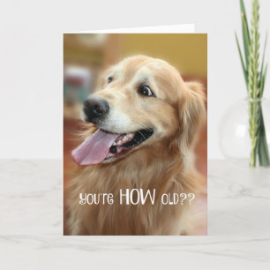 Carte Shocked Golden Retriever You are How Old Birthday