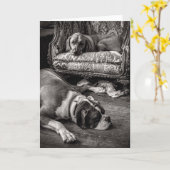 Carte Shop Dogs (Fleur jaune)