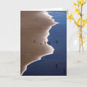 Carte Shoreline (Fleur jaune)