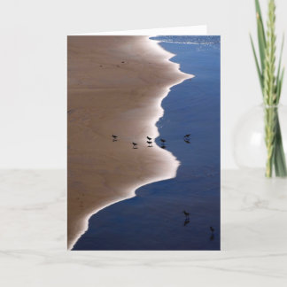 Carte Shoreline