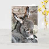 Carte Shorty (Fleur jaune)