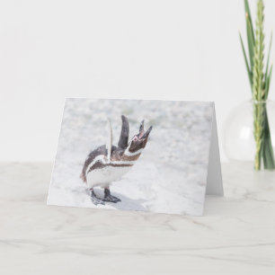 Carte Shouting Penguin