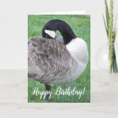 Carte Shy Canada Goose Photo Birthday (Devant)