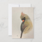 Carte Shy Red Bird Note (Devant)