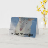 Carte Si Froid ! Je dois pisser ! (Fleur jaune)