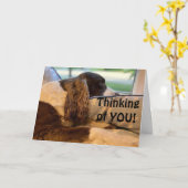 CARTE SI HEUREUX ET VOUS FÉLICITE (Fleur jaune)