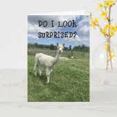 Carte *SI SURPRIS **20ème** ANNIVERSAIRE ! ! ! !* (Fleur jaune)