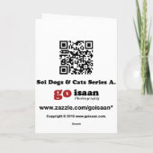 Carte Siamese Chat Friend (Dos)