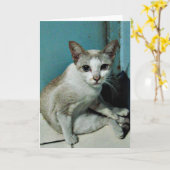Carte Siamese Chat Friend (Fleur jaune)
