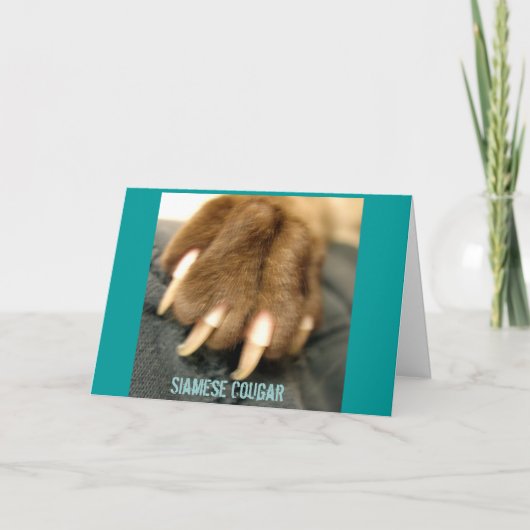 Carte Siamese Cougar Greeting Cards (Devant)