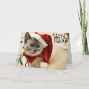 Carte siamoise de Père Noël de délivrance de chat