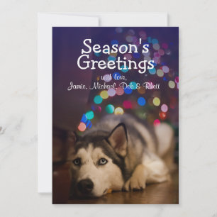 Carte Siberian Husky pose sur son jouet favori