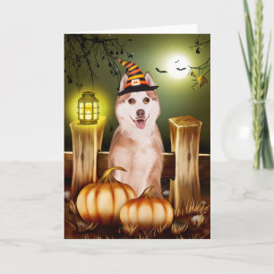Carte Sibérien Husky avec Casquette sorcier Halloween