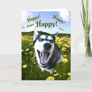 Carte Sibérien Husky pense à vous mignon chien