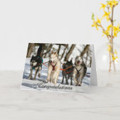 Carte Sibérienne Husky Graduation Card (Fleur jaune)
