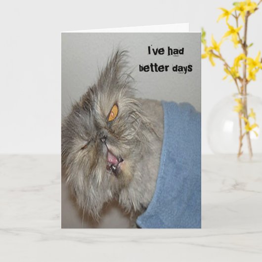 Carte Sick kitty (Fleur jaune)