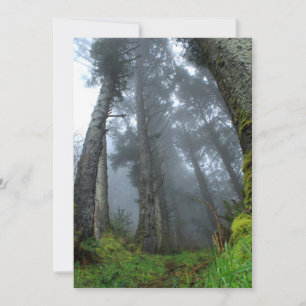Carte Signature : Matte 5" x 7", enveloppes blanches sta