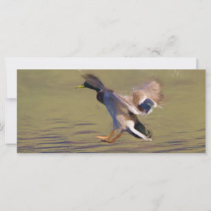 Carte Signet