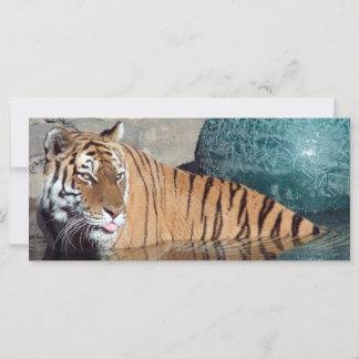 Carte Signet photo du tigre du Bengale