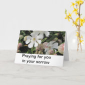 Carte Silènes enflées, les Cornouailles (Fleur jaune)