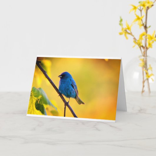 Carte Silent wonders blank greeting card indigo bunting (Fleur jaune)