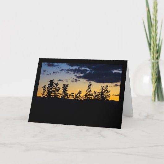 Carte Silhouette de feuilles la nuit (Devant)