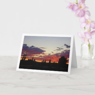 Carte Silhouette des arbres Coucher du soleil