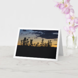 Carte Silhouette des Feuilles de nuit