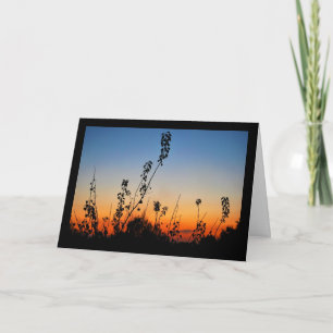 Carte Silhouettes de plantes estivales