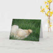 Carte Silkie Rooster (Fleur jaune)
