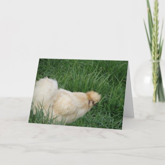 Carte Silkie Rooster (Devant)