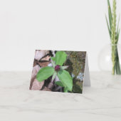 Carte Sillage Robin - customisé (Devant)