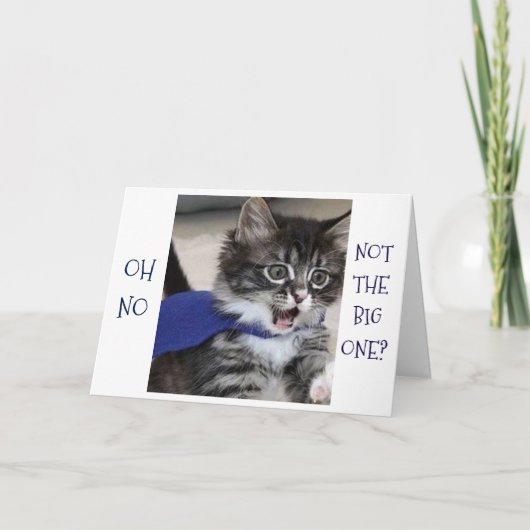 CARTE SILLY KITTY DIT "OH NON, PAS LE GRAND" ANNIVERSAIR (Devant)