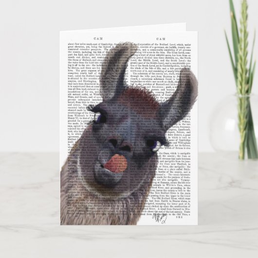 Carte Silly Llama (Devant)