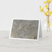 Carte Silver Rock, Arrière - plan de pierre (Fleur jaune)