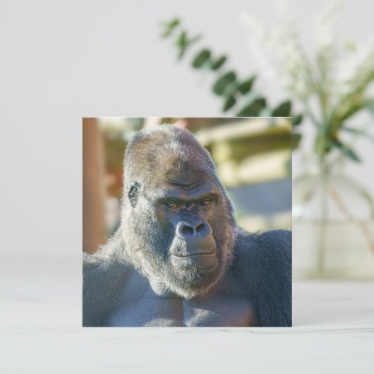 Carte Silverback frappant (Debout devant)