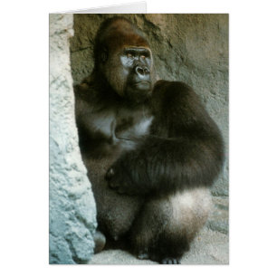 Carte Silverback Gorilla