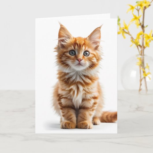 Carte simple avec chat orange tabby à poils longs  (Fleur jaune)
