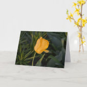 Carte simple avec une tulipe dorée (Fleur jaune)