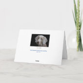 Carte simple chien Weimaraner  (Dos)