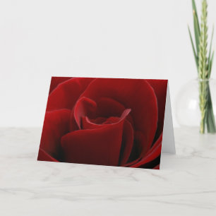 Carte simple de rose rouge