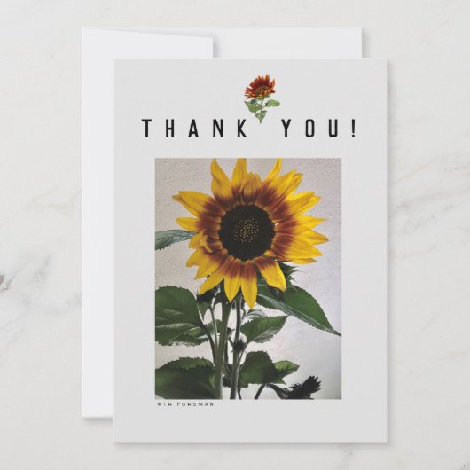 Carte simple de tournesols 81724 (Devant)