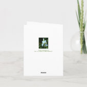 CARTE SIMPLE IRIS BLANC AVEC PLUIE (Dos)