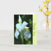 CARTE SIMPLE IRIS BLANC AVEC PLUIE (Fleur jaune)