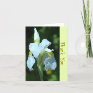 CARTE SIMPLE IRIS BLANC AVEC PLUIE
