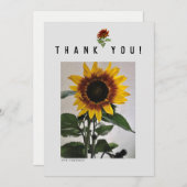 Carte simple Sunflower 81724 (Devant / Derrière)